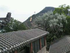 -兰山公园