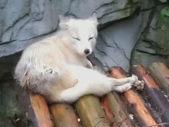 -黔灵山公园-南门售票处