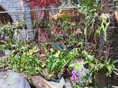 -园林美食城·本土农家菜(杨和镇店)