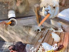 -北京鹿世界主题园