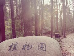 -潜山国家森林公园