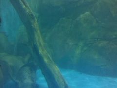 -常州海昌海洋探索馆