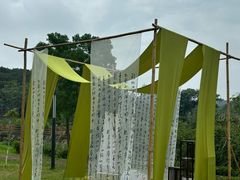 -广西壮族自治区药用植物园