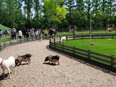 -前小桔亲子创意农场·草莓采摘·露营烧烤