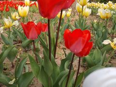 -廊坊文化艺术中心