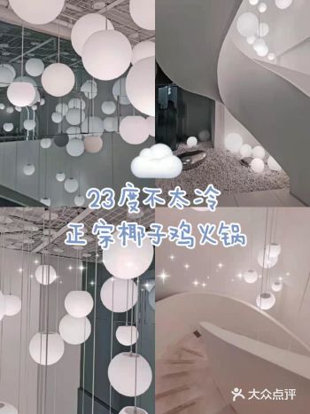 杭州探店|ins风正宗椰子鸡火锅