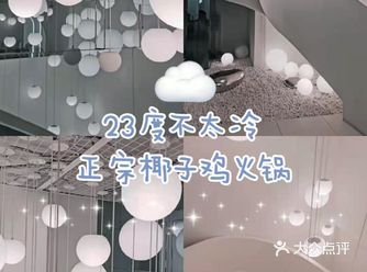 杭州探店|ins风正宗椰子鸡火锅