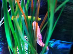 -沈阳海洋探索中心