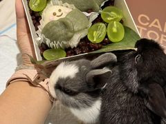 -大象厨房(重庆道店)