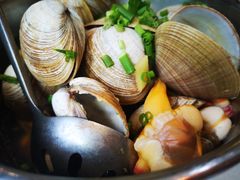 -渔娘渔家丹东海鲜(东直门店)