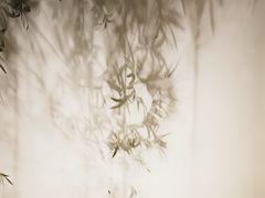 -六朝博物馆