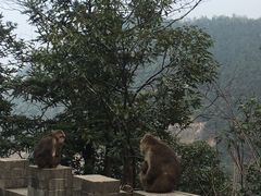 -九华山风景区
