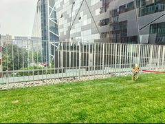 -百好乐宠物友好餐厅(朝外大街店)