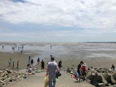 -南汇嘴观海公园