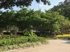 -金鸡山公园