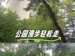-西苑公园