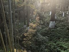 -莫干山风景区