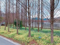 -上海山野camping·户外天幕烧烤·团建拓展营地
