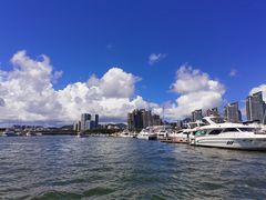 -小猫钓鱼海钓俱乐部(椰梦长廊店)