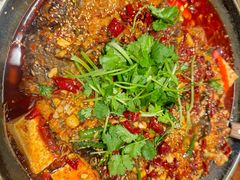 -重庆鸡公煲·青锅花椒鱼(宝山一店)