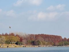 -滨湖塘西河公园