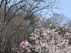 -龟山风景区-龟山电视塔