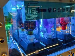 -梨花自助烤肉(西三旗万象汇黑金店)