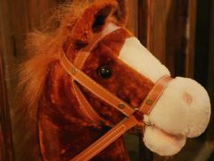 -暴风岛沉浸式体验馆(百联世纪店)