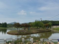 -佛手湖郊野公园
