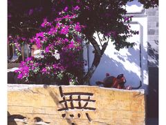 -大理无舍度假酒店