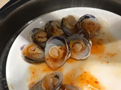 扇贝-天伦松鹤大饭店·欣妮咖啡