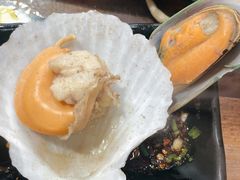 扇贝-丽江庭院之爱在路上(西单店)