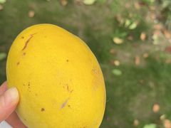 -憩泰SPA(三林店)