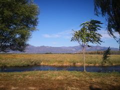 -野鸭湖国家湿地公园