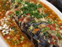 -飞虹鱼馆(春华路店)