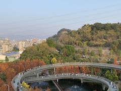 -福道