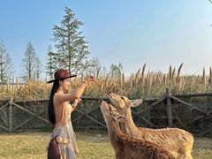 -祥源·阜阳生态乐园