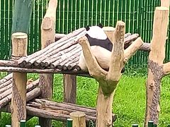 -沈阳森林动物园
