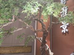 -苏淮景·苏闽融创菜·海鲜(原空港井河轩店)