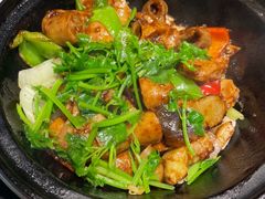 日昌火爆生啫生肠-日昌餐馆(Mini西点茂店)