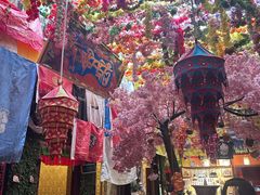 -吉祥圣雪藏餐