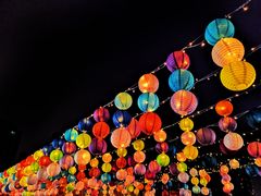 -飞凤山奥体公园