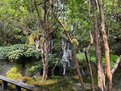 -Chom Cafe and Restaurant