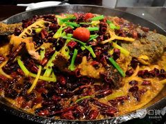 -老板恋上鱼(荣盛广场店)