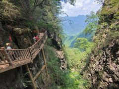 -塔云山