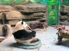 游乐设施-灵玲国际马戏城