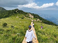 -白草畔自然风景区