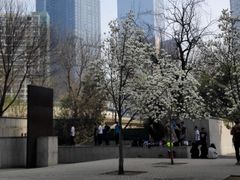 -安妮意大利餐厅(世贸天阶店)
