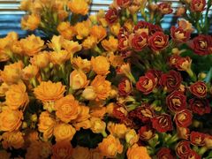 -苏州独墅湖书香世家酒店