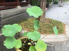 -香积寺